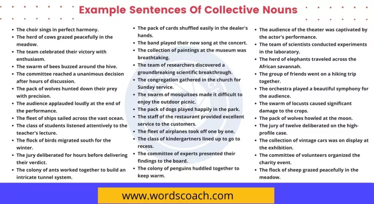 Example Sentences Of Collective Nouns - wordscoach.com