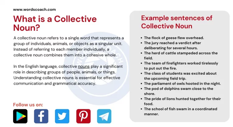 What is a Collective Noun? - wordscoach.com