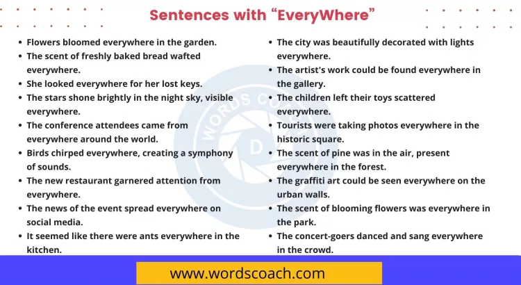 Sentences with EveryWhere - wordscoach.com