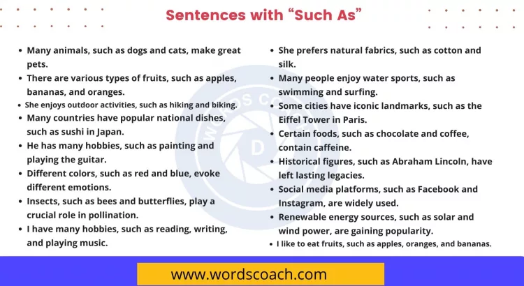 Sentences with Such as - wordscoach.com