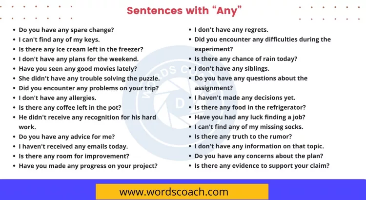 Sentences with Any - wordscoach.com