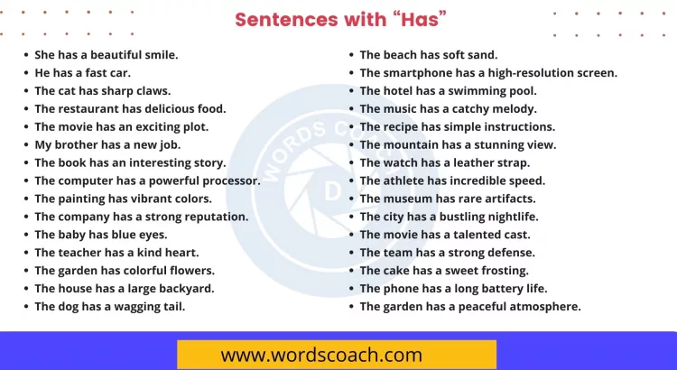 Sentences with Has - wordscoach.com