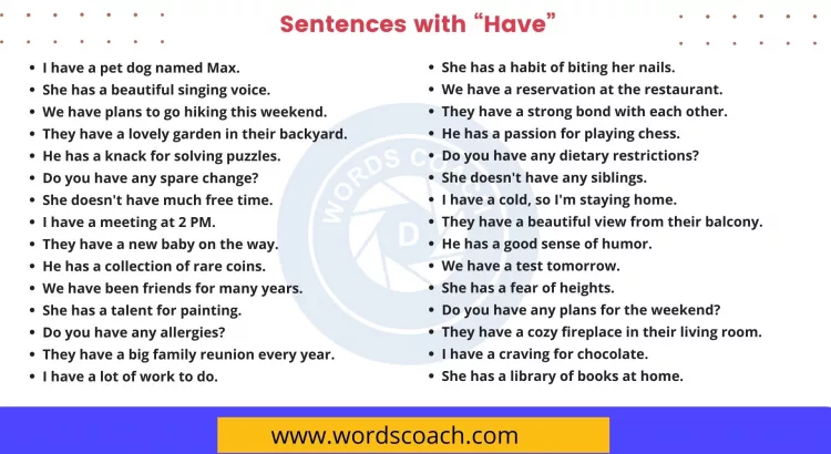 Sentences with Have - wordscoach.com