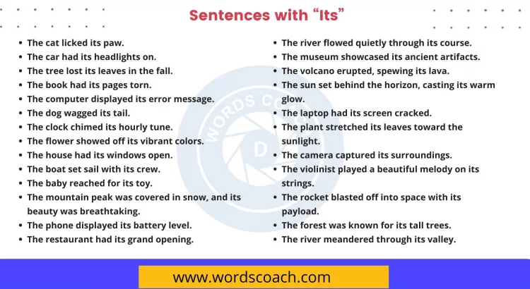 Sentences with Its - wordscoach.com