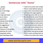 Sentences with Some - wordscoach.com