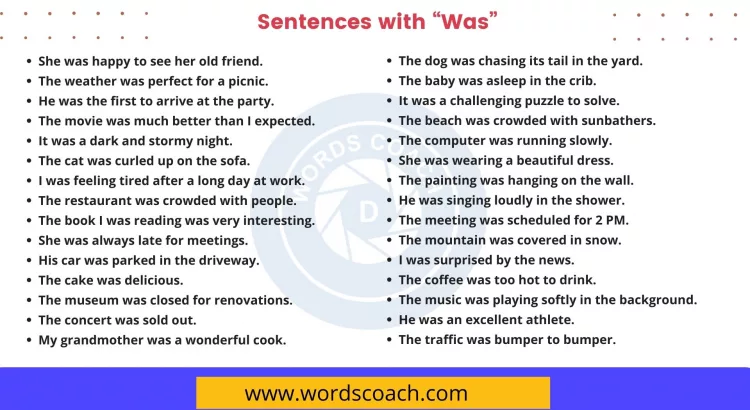 Sentences with Was - wordscoach.com
