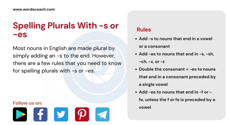 Spelling Plurals With -s or -es - wordscoach.com