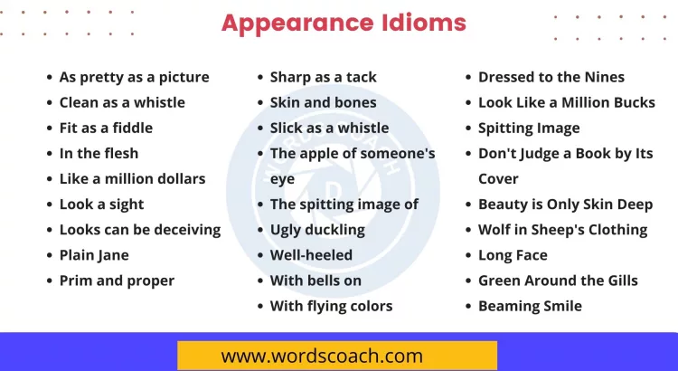 Dressed to the Nines Look Like a Million Bucks Spitting Image Don't Judge a Book by Its Cover Beauty is Only Skin Deep Wolf in Sheep's Clothing Long Face Green Around the Gills Beaming Smile