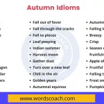 Autumn Idioms - wordscoach.com