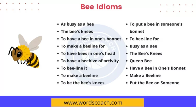 Bee Idioms - wordscoach.com