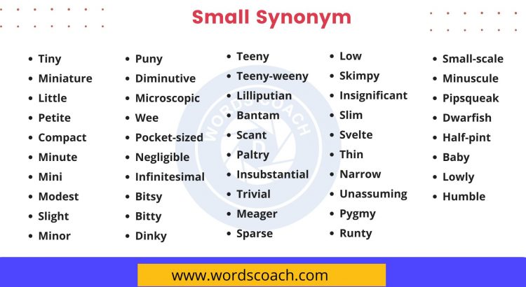 Small Synonym - wordscoach.com