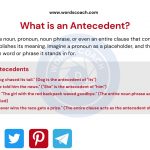 What is an Antecedent? - wordscoach.com