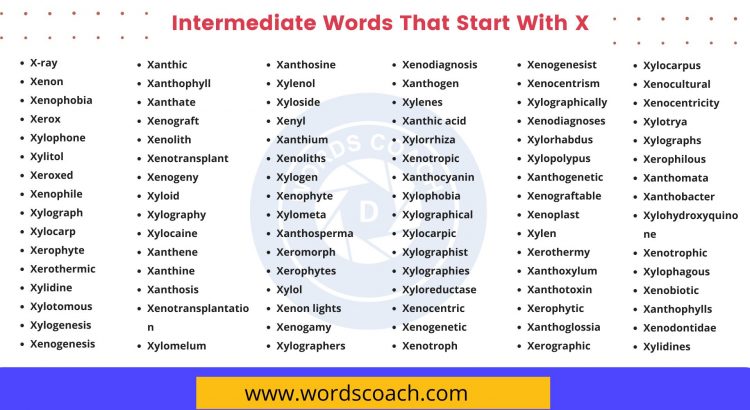 Intermediate Words That Start With X - wordscoach.com