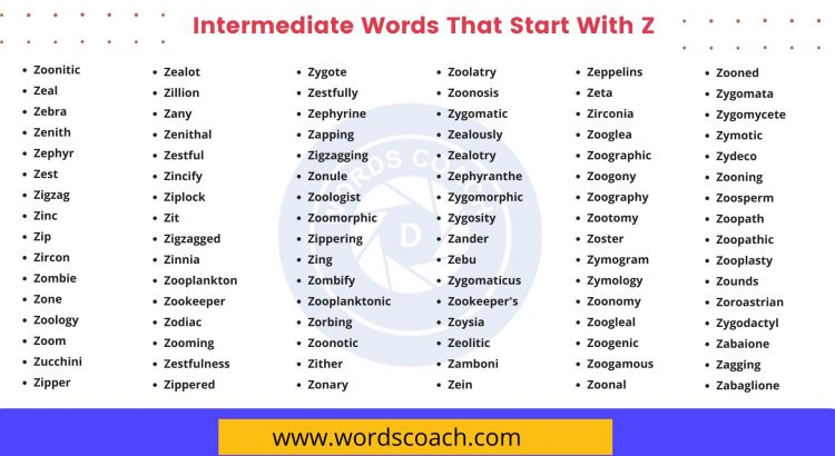 Intermediate Words That Start With Z - wordscoach.com