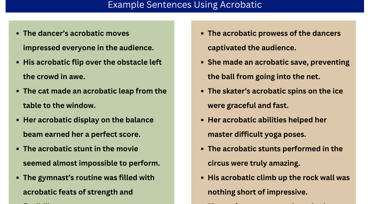 Adjective For Acrobatic and Example Sentences - Wordscoach.com