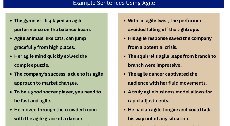 Adjective For Agile and Example Sentences - Wordscoach.com