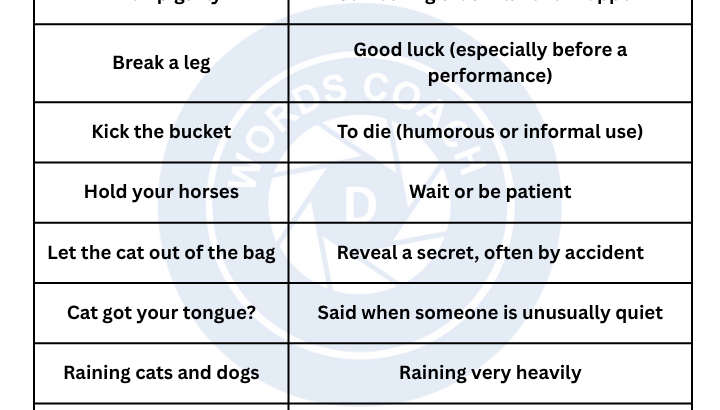 Funny English Idioms And Expressions - wordscoach.com