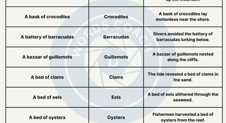 Collective Nouns for Animals - wordscoach.com