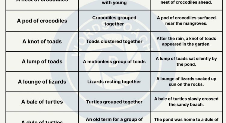 Collective Nouns for Reptiles - wordscoach.com