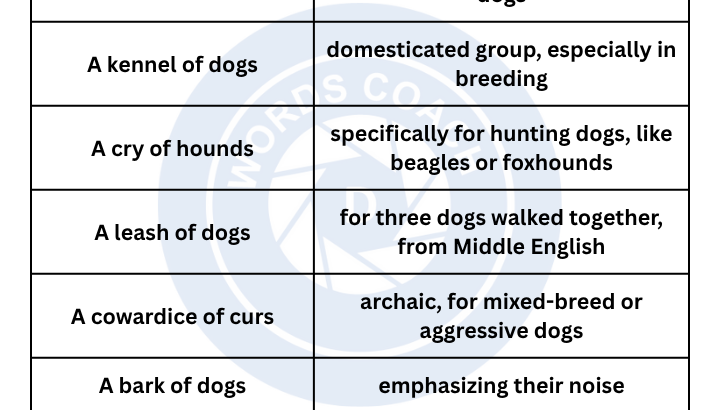 Collective noun for dogs - wordscoach.com