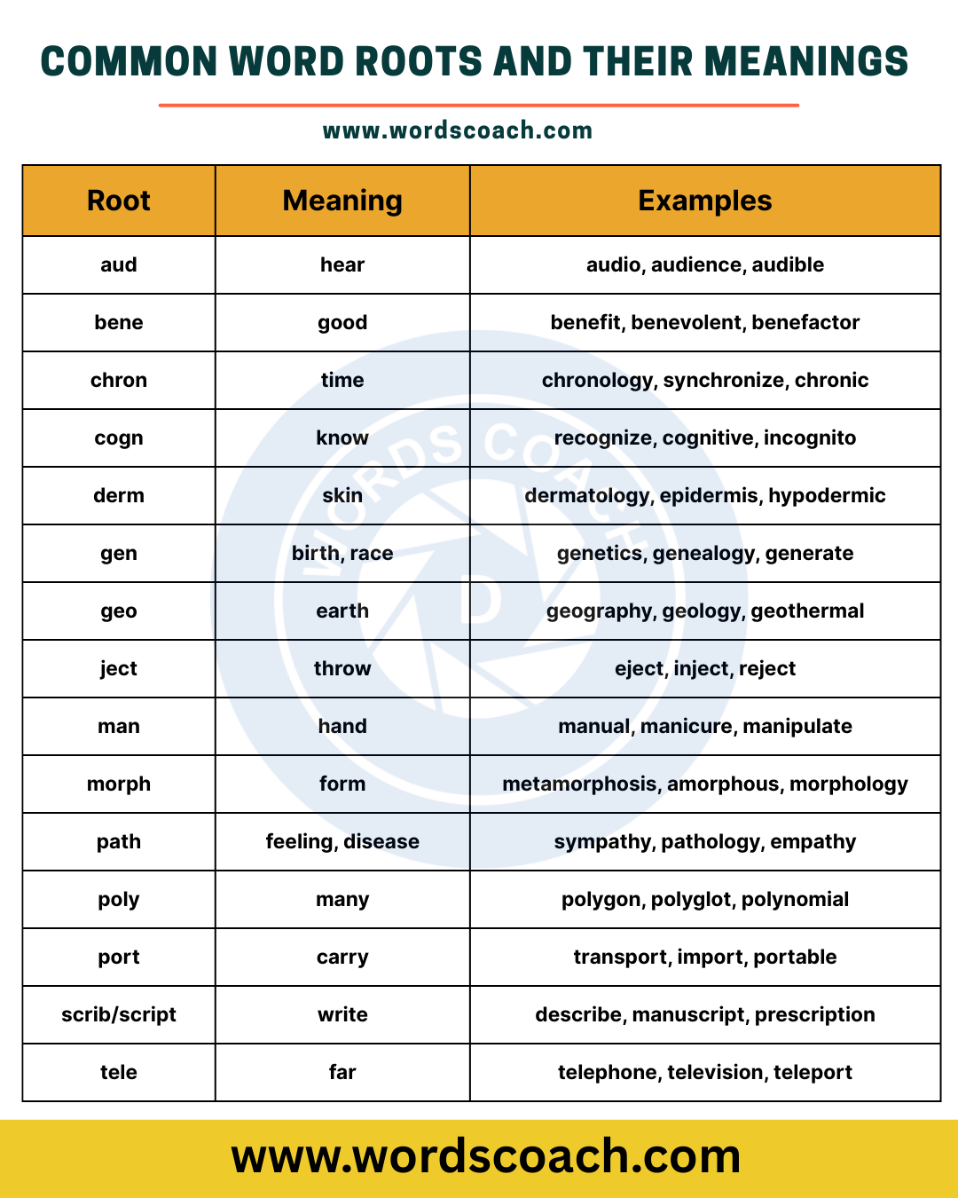 Word Roots - Word Coach