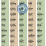 8th grade word list 8th grade word list - wordscoachcom